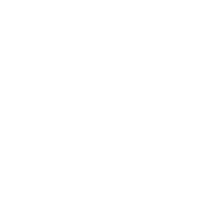 LOGOS PROYECTO BRANDI-12